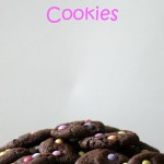 Ostermitbringsel oder Selbernaschen: Chocolate-Cookies