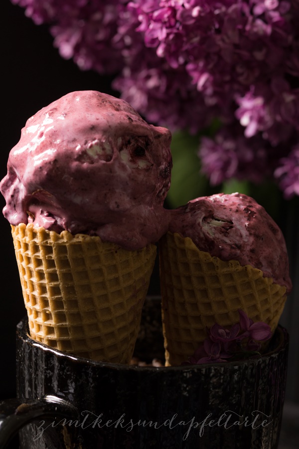 Blaubeer-Eis (6 von 7)