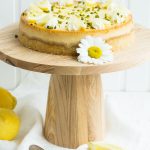 Zitronen-Cheesecake mit weißer Schokolade