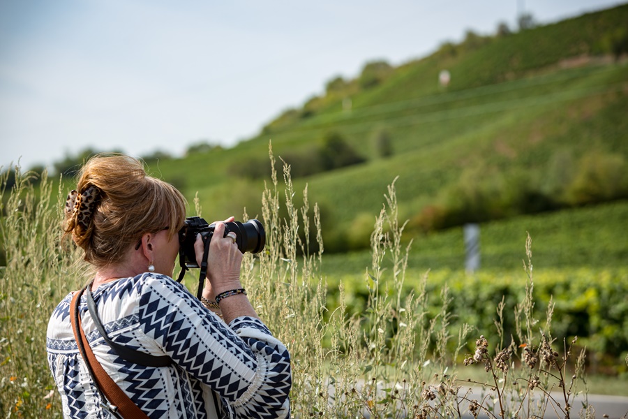 Rheinhessen genießen