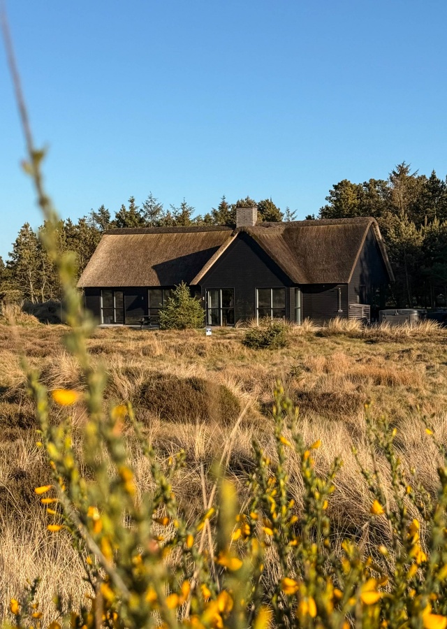 Blåvand und Umgebung – Tipps für Dänemarks westliche Nordseeküste - Ferienhaus von Esmark