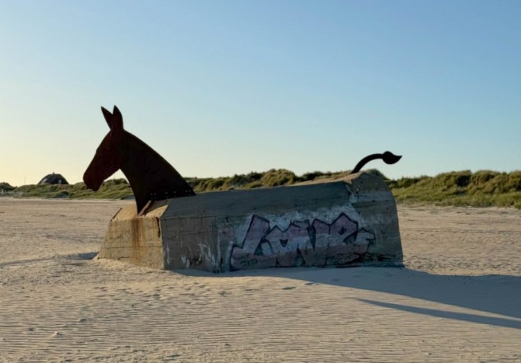 Blåvand und Umgebung – Tipps für Dänemarks westliche Nordseeküste