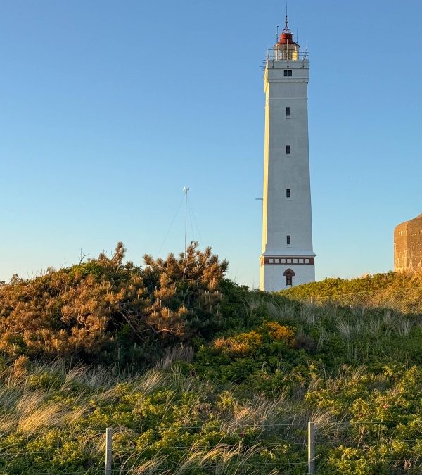 Blåvand und Umgebung – Tipps für Dänemarks westliche Nordseeküste - Leuchtturm Blavand Fyr