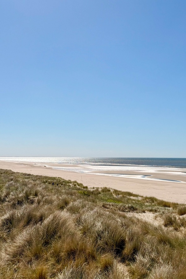 Blåvand und Umgebung – Tipps für Dänemarks westliche Nordseeküste